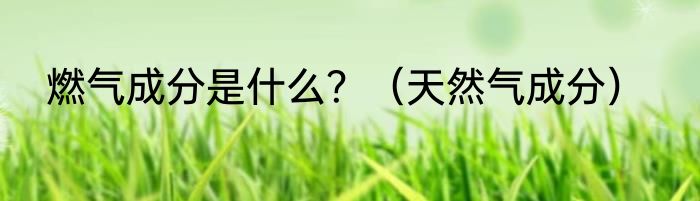 燃气成分是什么？（天然气成分）
