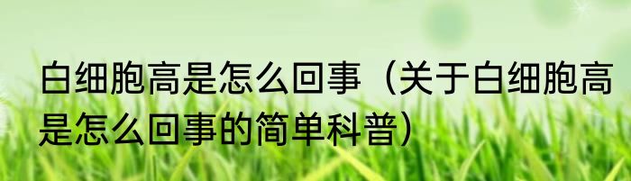 白细胞高是怎么回事（关于白细胞高是怎么回事的简单科普）