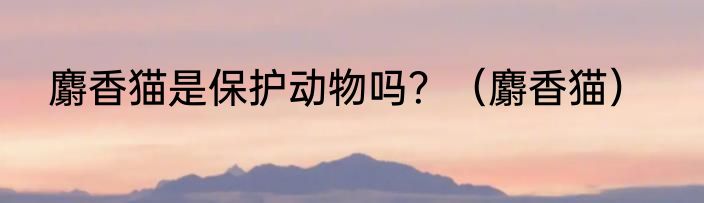 麝香猫是保护动物吗？（麝香猫）