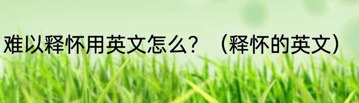 难以释怀用英文怎么？（释怀的英文）