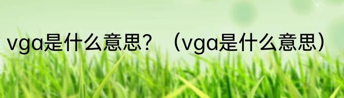 vga是什么意思？（vga是什么意思）