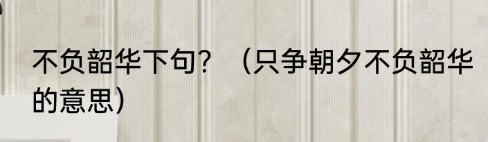 不负韶华下句？（只争朝夕不负韶华的意思）