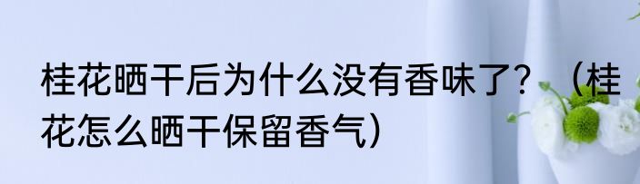 桂花晒干后为什么没有香味了？（桂花怎么晒干保留香气）