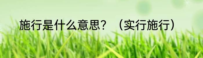 施行是什么意思？（实行施行）