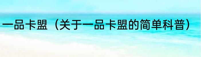 一品卡盟（关于一品卡盟的简单科普）