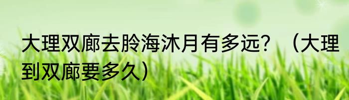 大理双廊去朎海沐月有多远？（大理到双廊要多久）