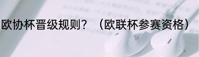 欧协杯晋级规则？（欧联杯参赛资格）