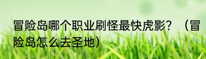 冒险岛哪个职业刷怪最快虎影？（冒险岛怎么去圣地）