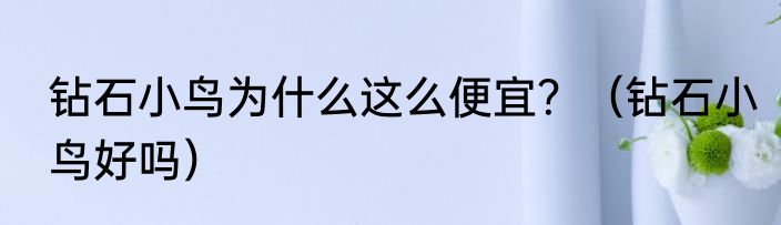 钻石小鸟为什么这么便宜？（钻石小鸟好吗）