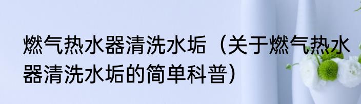 燃气热水器清洗水垢（关于燃气热水器清洗水垢的简单科普）