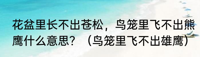 花盆里长不出苍松，鸟笼里飞不出熊鹰什么意思？（鸟笼里飞不出雄鹰）