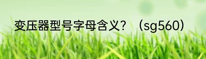 变压器型号字母含义？（sg560）