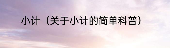 小计（关于小计的简单科普）