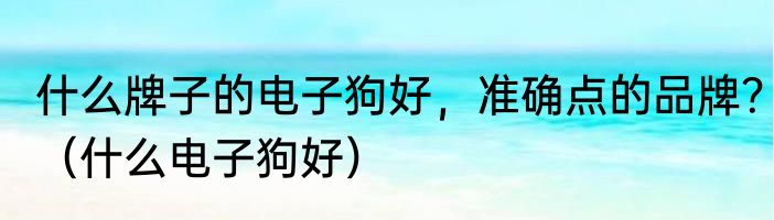 什么牌子的电子狗好，准确点的品牌？（什么电子狗好）