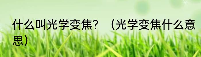 粉蒸肉是哪个地方的菜最正宗的做法详解？（粉蒸肉是哪个地方的菜）