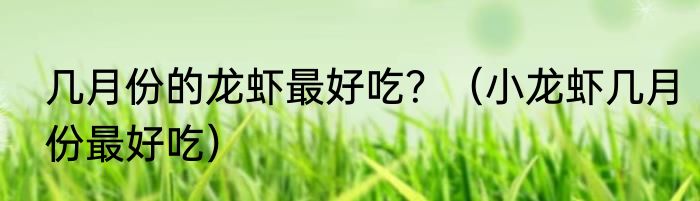 几月份的龙虾最好吃？（小龙虾几月份最好吃）