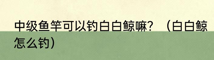中级鱼竿可以钓白白鲸嘛？（白白鲸怎么钓）