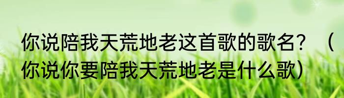 你说陪我天荒地老这首歌的歌名？（你说你要陪我天荒地老是什么歌）