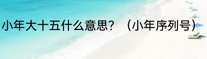 小年大十五什么意思？（小年序列号）