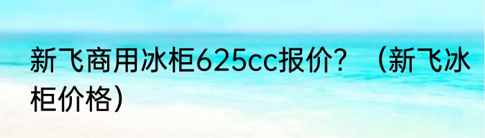 新飞商用冰柜625cc报价？（新飞冰柜价格）