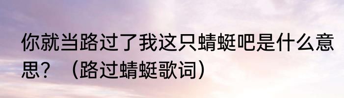 你就当路过了我这只蜻蜓吧是什么意思？（路过蜻蜓歌词）