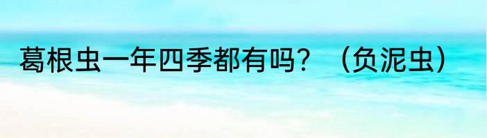 葛根虫一年四季都有吗？（负泥虫）