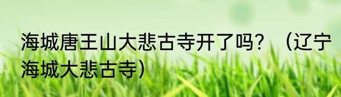 海城唐王山大悲古寺开了吗？（辽宁海城大悲古寺）