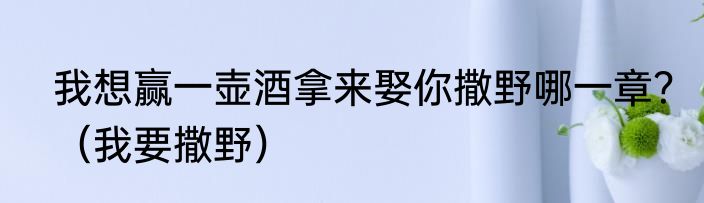 我想赢一壶酒拿来娶你撒野哪一章？（我要撒野）