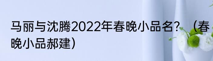 马丽与沈腾2022年春晚小品名？（春晚小品郝建）