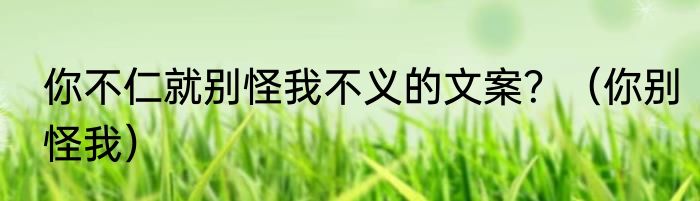 你不仁就别怪我不义的文案？（你别怪我）
