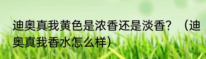 迪奥真我黄色是浓香还是淡香？（迪奥真我香水怎么样）