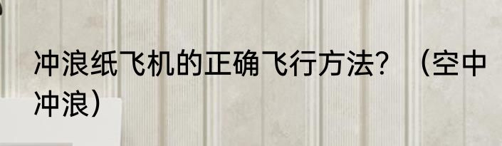 冲浪纸飞机的正确飞行方法？（空中冲浪）