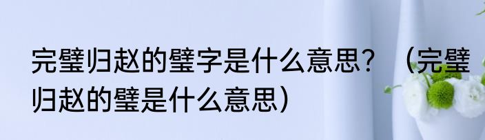 完璧归赵的璧字是什么意思？（完璧归赵的璧是什么意思）