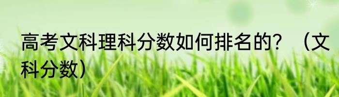 高考文科理科分数如何排名的？（文科分数）