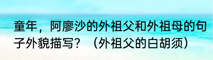 童年，阿廖沙的外祖父和外祖母的句子外貌描写？（外祖父的白胡须）