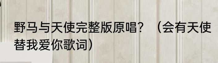 野马与天使完整版原唱？（会有天使替我爱你歌词）