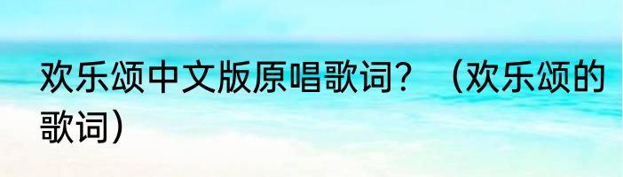 欢乐颂中文版原唱歌词？（欢乐颂的歌词）