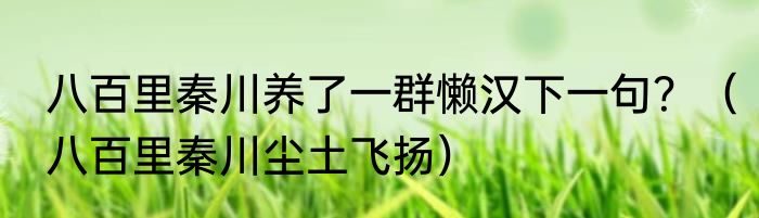 八百里秦川养了一群懒汉下一句？（八百里秦川尘土飞扬）