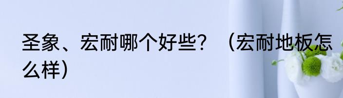 圣象、宏耐哪个好些？（宏耐地板怎么样）