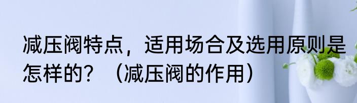 减压阀特点，适用场合及选用原则是怎样的？（减压阀的作用）