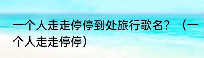 一个人走走停停到处旅行歌名？（一个人走走停停）