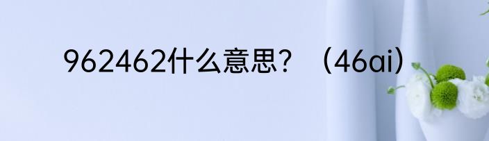 962462什么意思？（46ai）