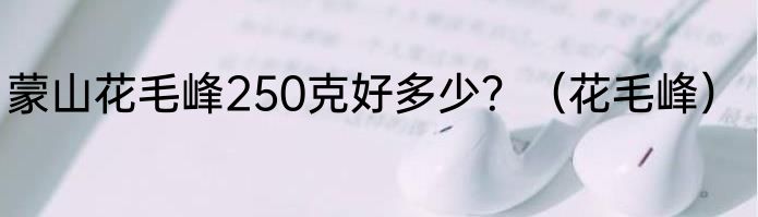蒙山花毛峰250克好多少？（花毛峰）