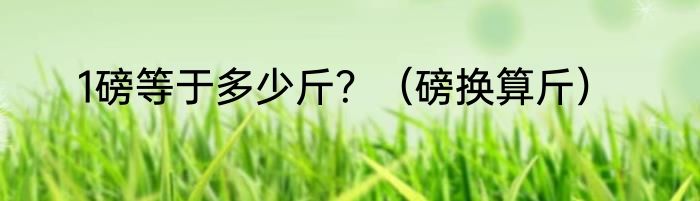 1磅等于多少斤？（磅换算斤）