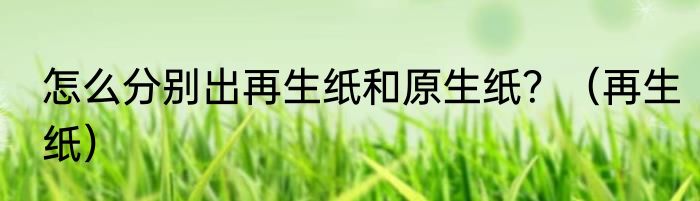 怎么分别出再生纸和原生纸？（再生纸）