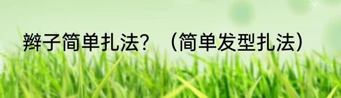 辫子简单扎法？（简单发型扎法）