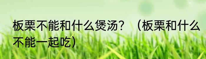 板栗不能和什么煲汤？（板栗和什么不能一起吃）