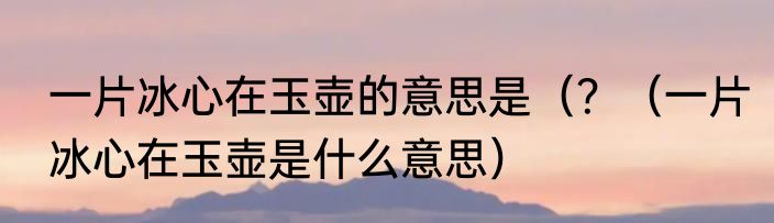 一片冰心在玉壶的意思是（？（一片冰心在玉壶是什么意思）