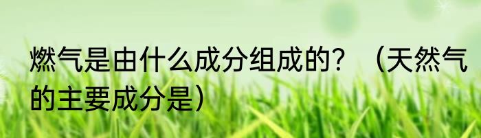 燃气是由什么成分组成的？（天然气的主要成分是）