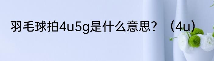 羽毛球拍4u5g是什么意思？（4u）